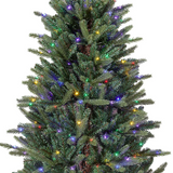 4.5' Williston Color Changing Lighted Artificial Christmas Tree