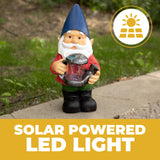 ‎Vp Home Gnome with Solar Powered LED Light