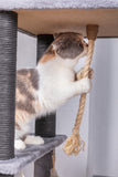 Catry 63 Inch 7 Level Bradbury Cat Tree with Double Hammocks Scratching Post Cat Tower