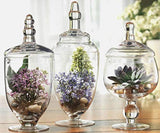 Home Essentials Glass Apothecary Jar Set, Three Clear glass Apothecary Jars