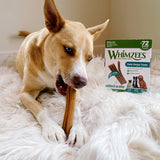 Whimzees Natural Dental Chew Stick, 72-count