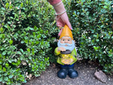 ‎Vp Home Gnome with Solar Powered LED Light