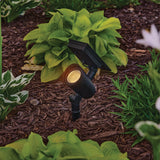 Better Homes & Gardens Color Lock Solar LED Landscape Spotlight, 150 Lumens