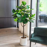 CG Hunter Faux 6.5’ Fiddle Leaf Fig Tree, Lifelike and Crafted of Synthetic Polymer
