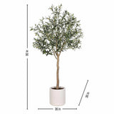 CGH Faux 6.5' Olive Tree, Lifelike and Crafted of Synthetic Polymer 36" L x 36" W x 80" H