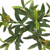 CGH Faux 6.5' Olive Tree, Lifelike and Crafted of Synthetic Polymer 36" L x 36" W x 80" H