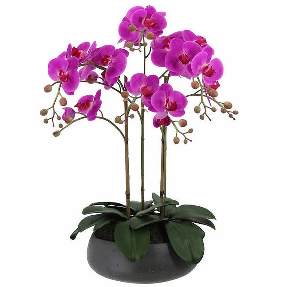 CG Hunter 24” Faux Phalaenopsis Orchid with Planter