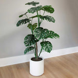 CGH Faux Monstera Tree, 35 “ L x 35 “ W x 65.9 “ H