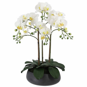 CG Hunter 24” Faux Phalaenopsis Orchid with Planter