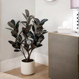 GG Hunter 48" Faux Rubber Tree, 31" L x 31" W x 48" H