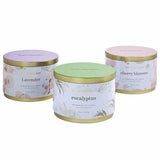 Simply Indulgent 3-pack 14oz Scented Candles, 4 Cotton Wicks