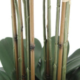 CGH Faux 4 Foot Phalaenopsis Orchid Arrangement with Modern Style Planter