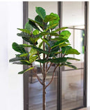 CG Hunter Faux 6.5’ Fiddle Leaf Fig Tree, Lifelike and Crafted of Synthetic Polymer