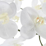 CGH Faux 4 Foot Phalaenopsis Orchid Arrangement with Modern Style Planter