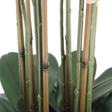 CGH Faux 4 Foot Phalaenopsis Orchid Arrangement with Modern Style Planter