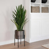 CGH Faux 53" Snake Plant With Stand, 27 L x 27 W x 53 H