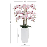 CGH Faux 4 Foot Phalaenopsis Orchid Arrangement with Modern Style Planter