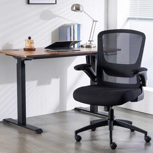 Sealy Mesh Memory Foam Seat Chair, Sealy Office Chair with Lumbar Support