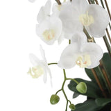 CGH Faux 4 Foot Phalaenopsis Orchid Arrangement with Modern Style Planter
