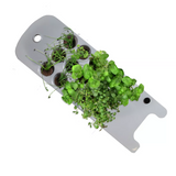AeroGarden Sprout Black with Seed Starting System Bundle
