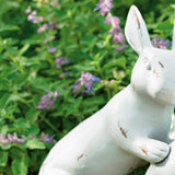Saved By A Hare Sculpture Bunny Decor Sculpture Rabbit Statue