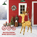 PEIDUO Christmas Lighted Reindeer with 70 Warm White Light, 48 in H