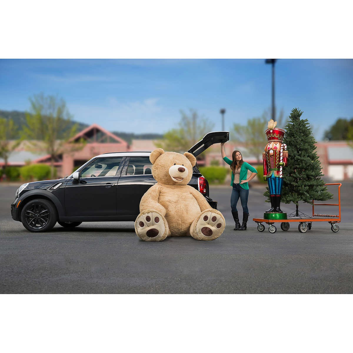 93 Hugfun Plush Bear Rainbow Jumbo Bear Homesmartcamera