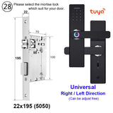 Raykube Wifi Electronic Door Lock Fingerprint Door Lock