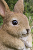 6" Polyresin Chubby Rabbit Standing Garden Statue