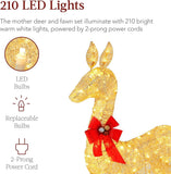 2-Piece Lighted Family Deer Set with 210 LED Lights, Stakes