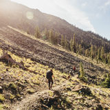 Cascade Mountain Tech Carbon Fiber Monopod Hiking Trekking Poles, 2 Pairs
