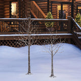 Two Flocked LED Birch Trees with 296 LED Lights, 5.5’ and 4.5’ Tree