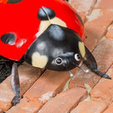 Evergreen Enterprises 13.7"  Metal Ladybug